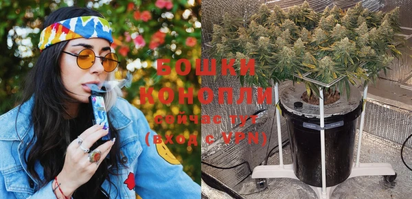PSILOCYBIN Михайловск