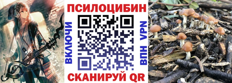 купить наркоту  mega tor  Псилоцибиновые грибы мухоморы  Нижневартовск 
